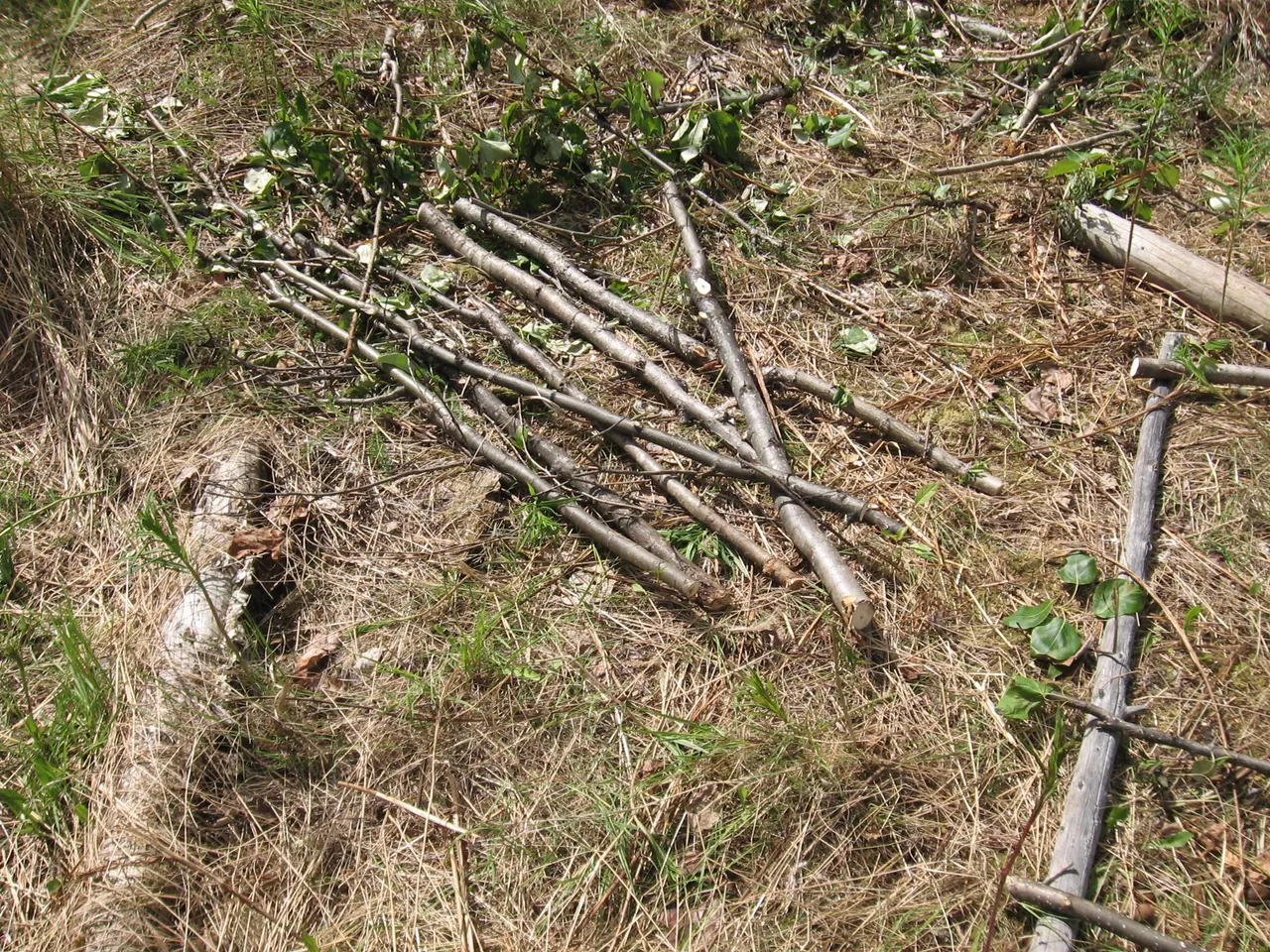IMG_0021.JPG