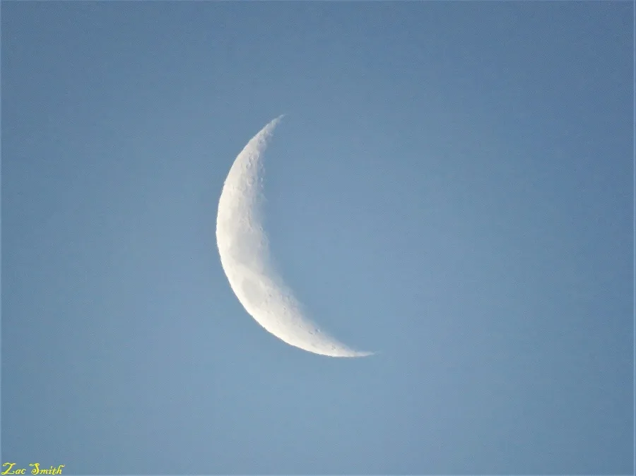 IMG_4443.JPG