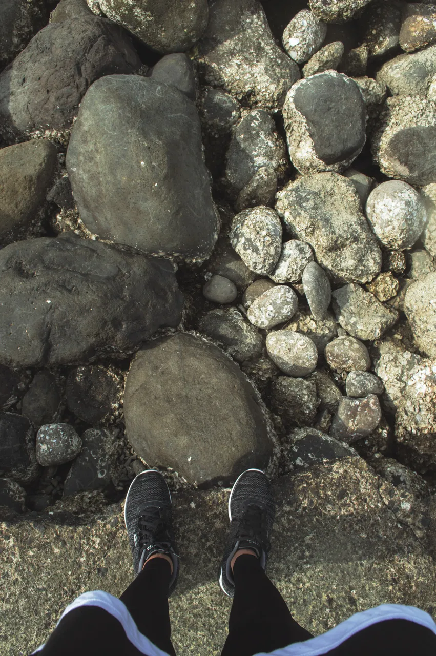 DSC_0291.jpg