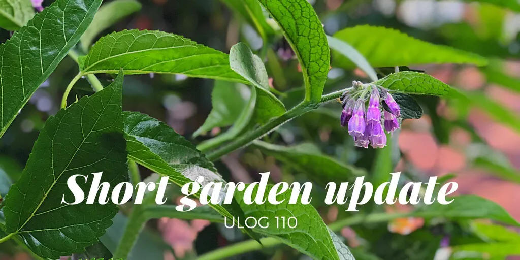 ULOG 110 - Short garden update