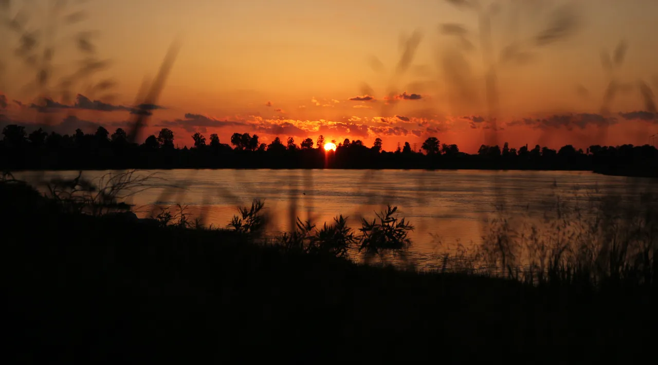 IMG_9119.JPG