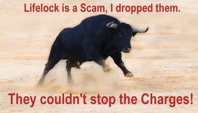 lifelock.jpg