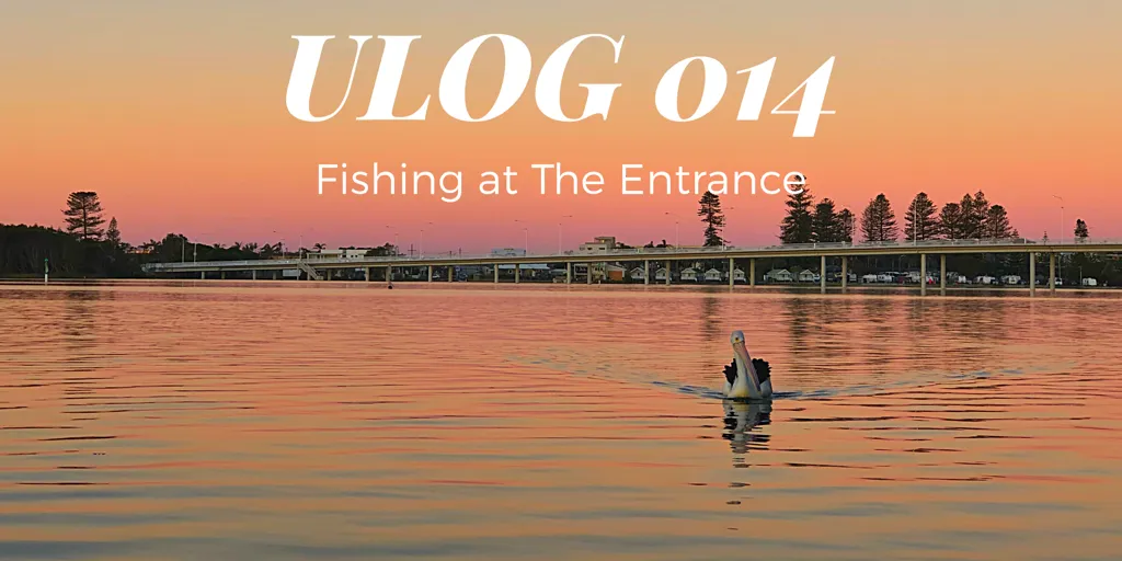 Fishing at The Entrance