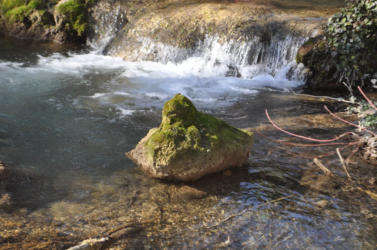 DSC_0173.JPG