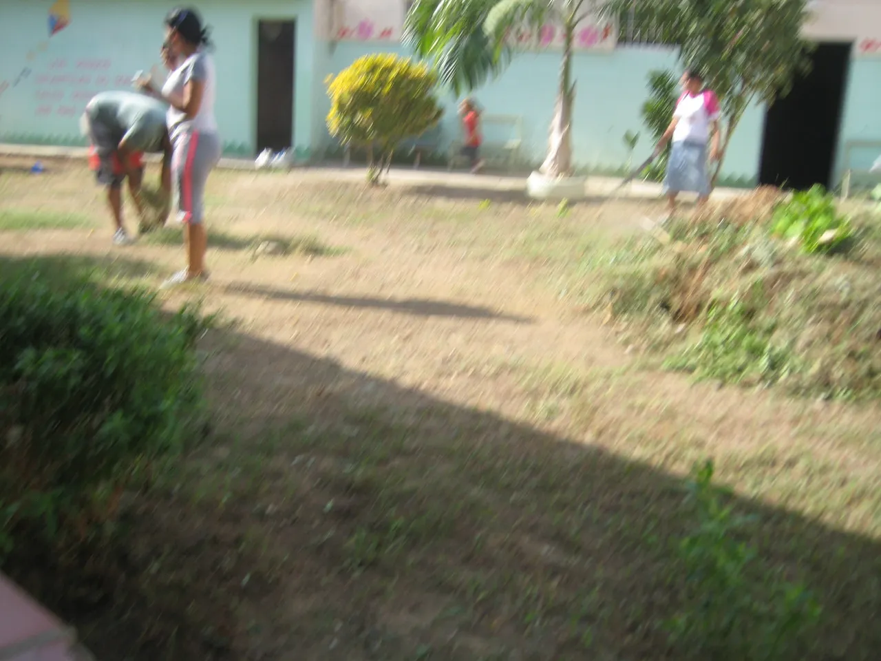 IMG_1541.JPG