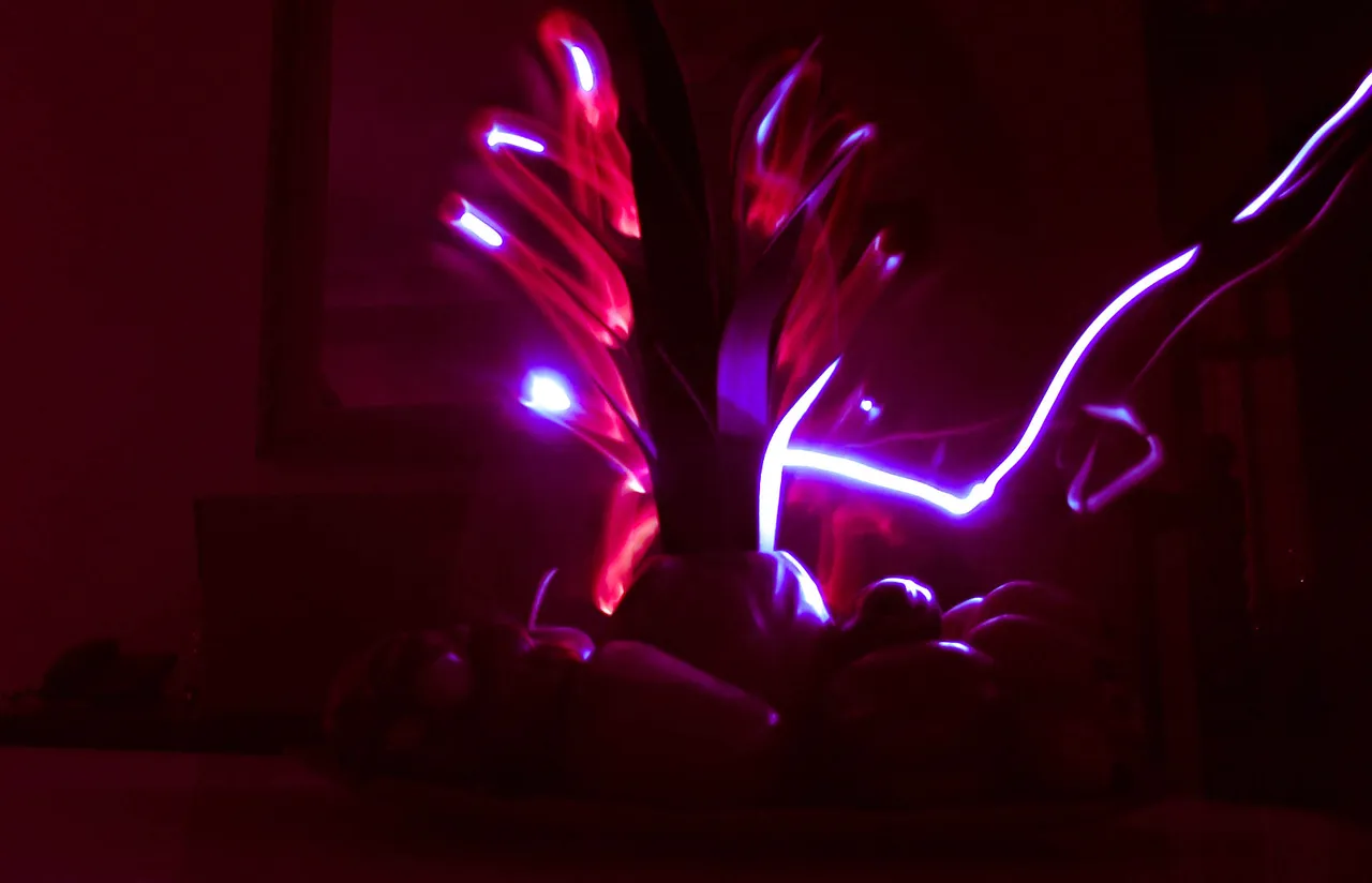 DSCF9630.jpg