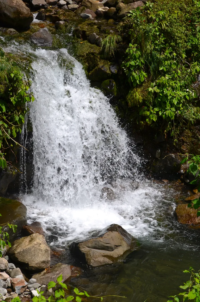 DSC_0218.jpg