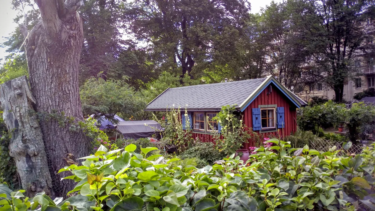 little house3