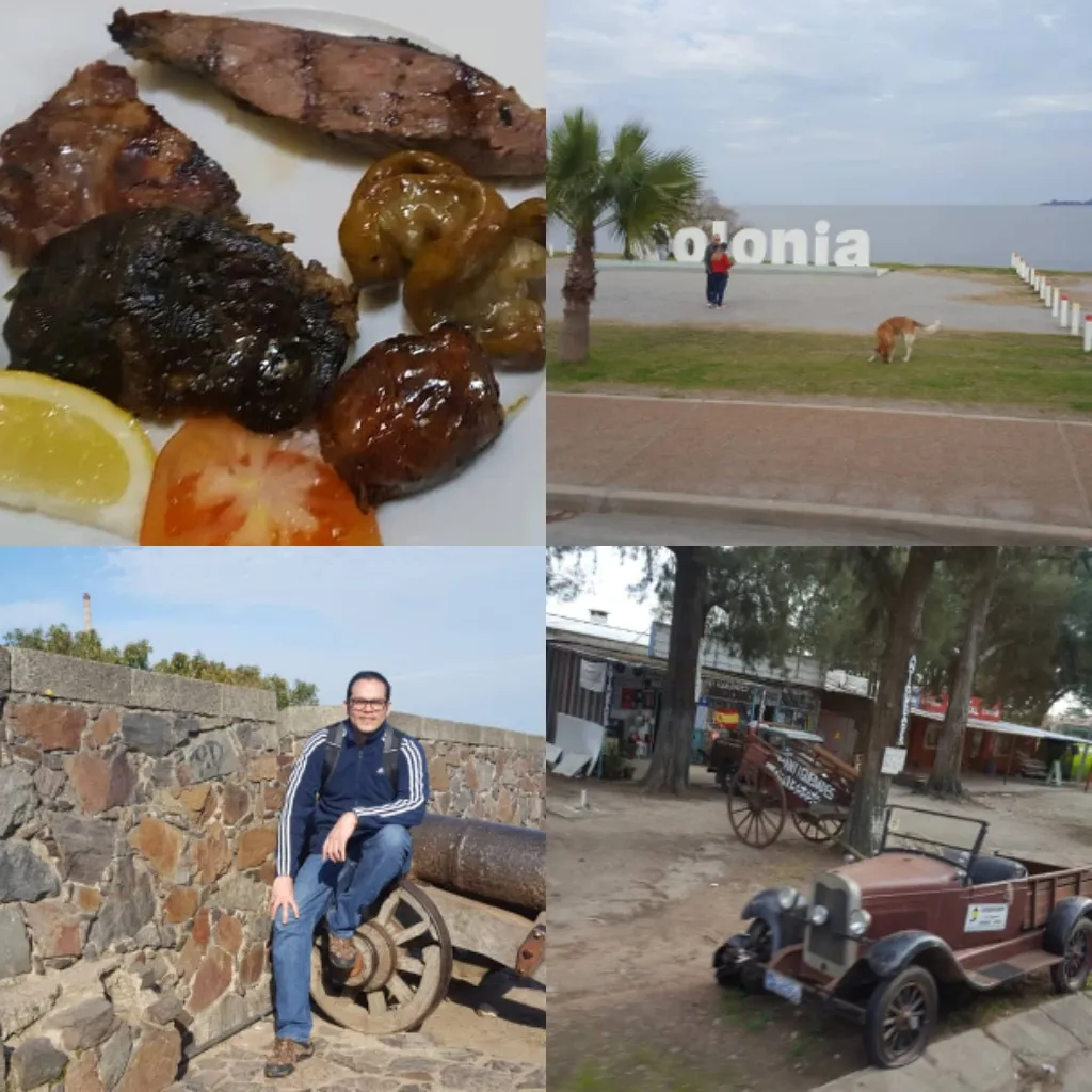 PhotoGrid_Plus_1609705281675.jpg