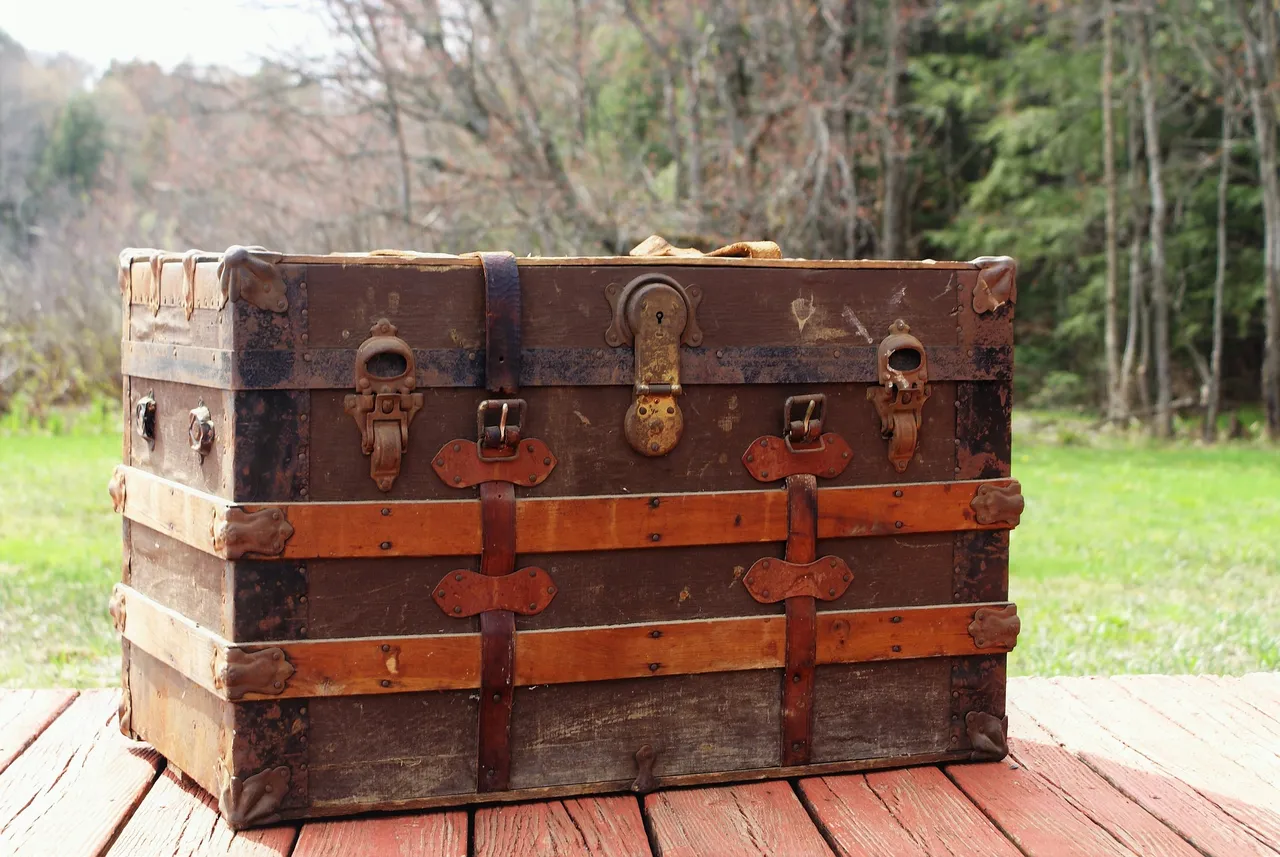 steamertrunk3414018_1920.jpg
