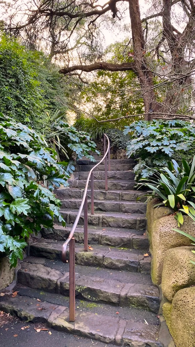up the garden path.jpg