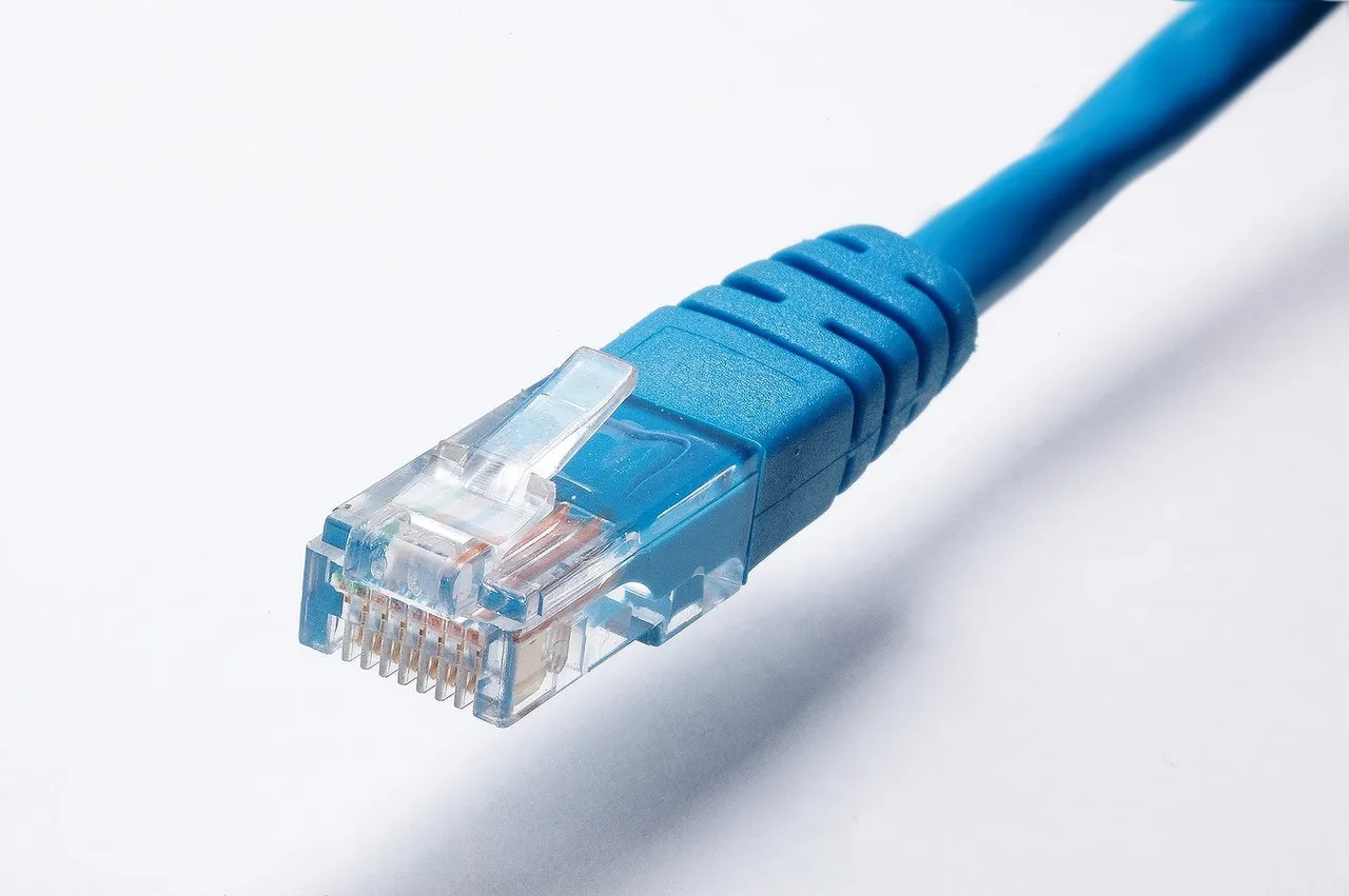 networkcable2245837_1920.jpg