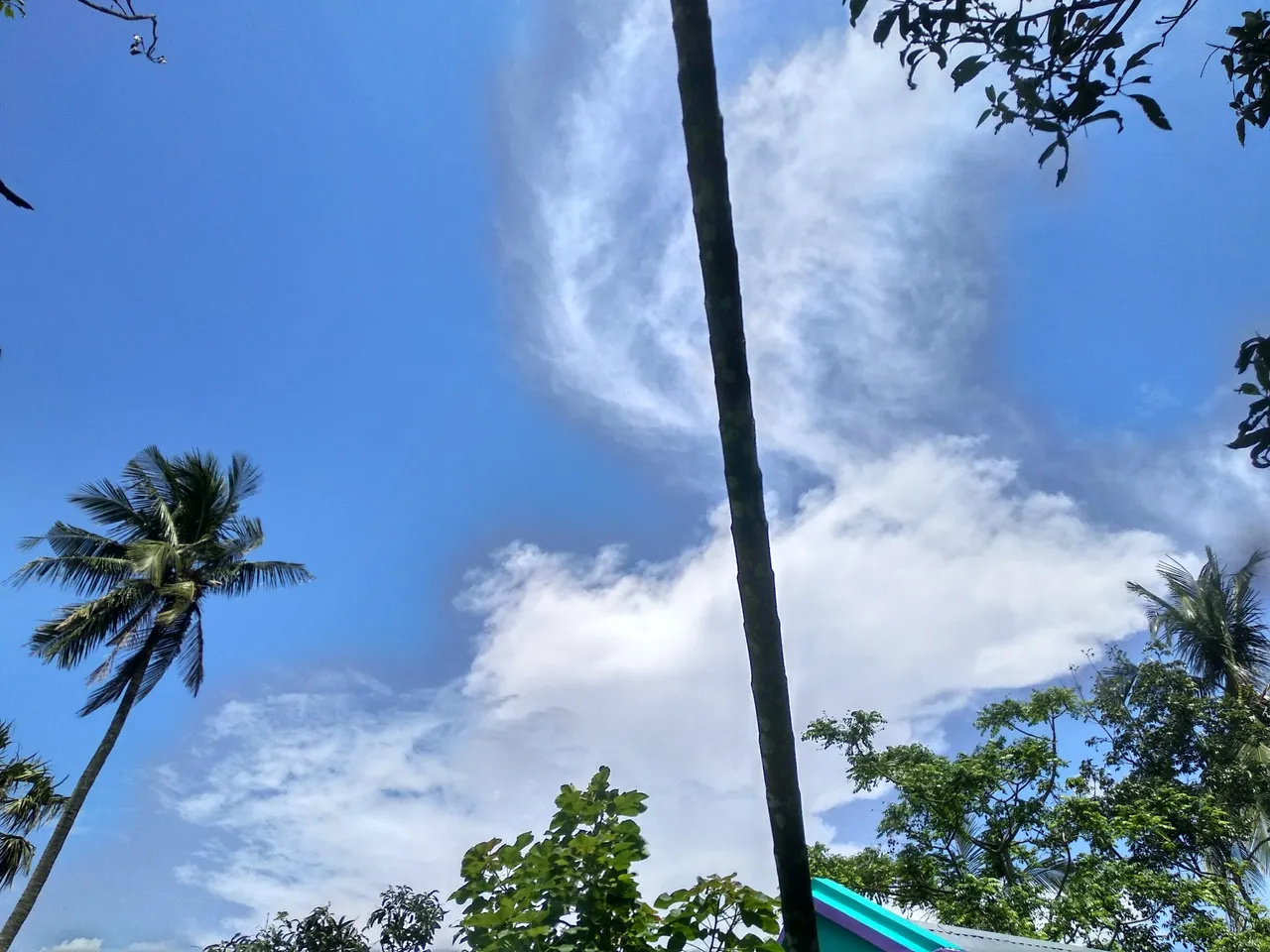 IMG_20200620_133953_HDR.jpg