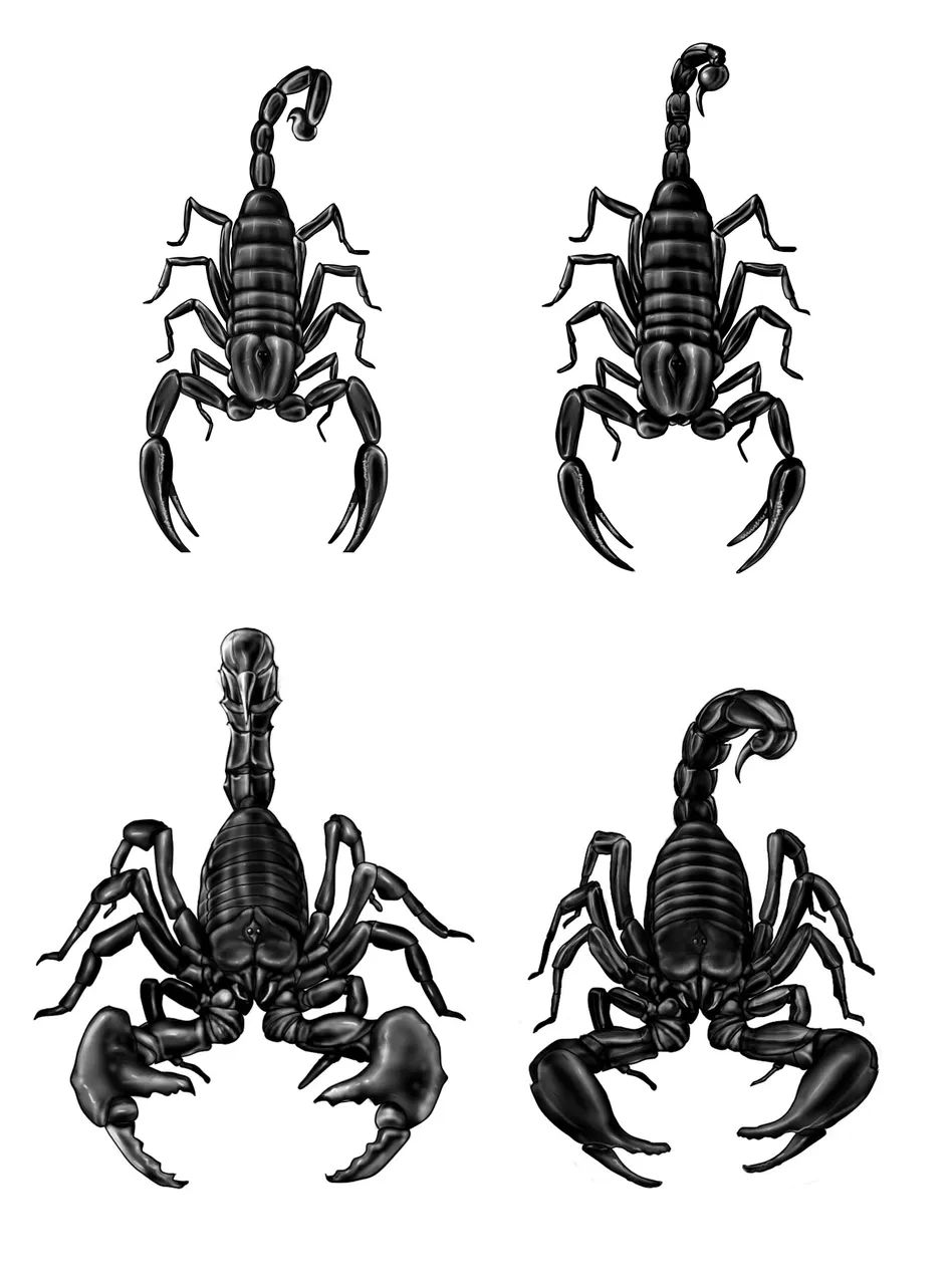 procesos escorpion hive 1.jpg