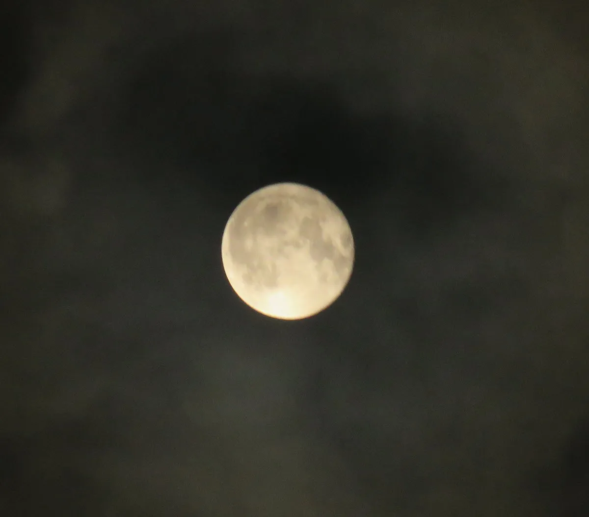 close up orange full moon.JPG