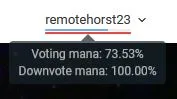 Name and Voting Mana.JPG