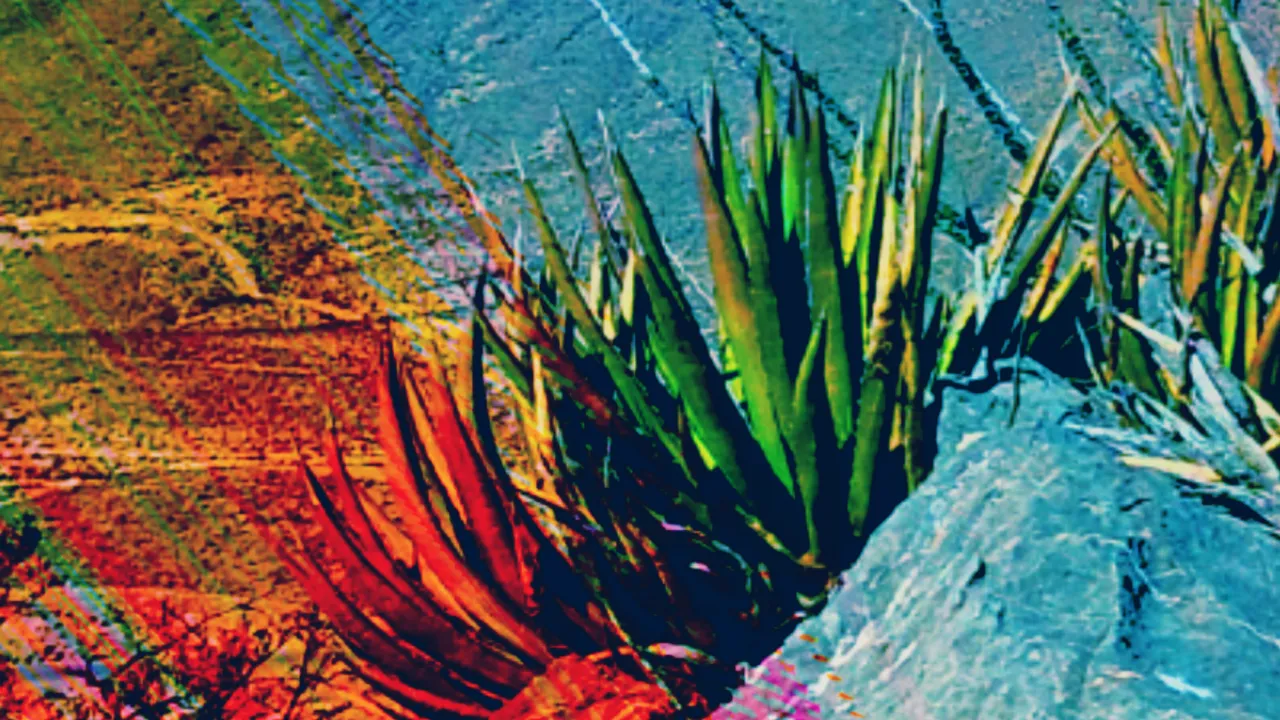 20201125_025139_0000.png