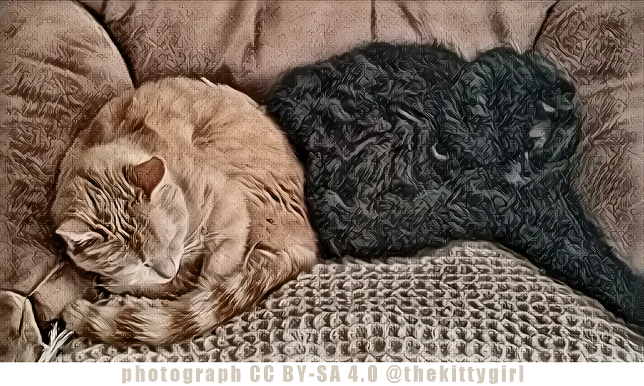 KittiesSleepingTogether.png