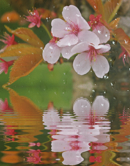 imageedit_55_droplets.gif