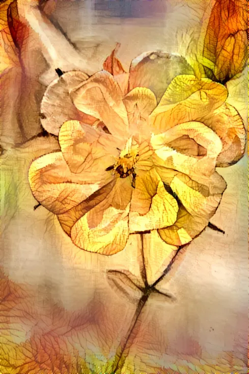 Dream_Amber_Aquilegia.jpg