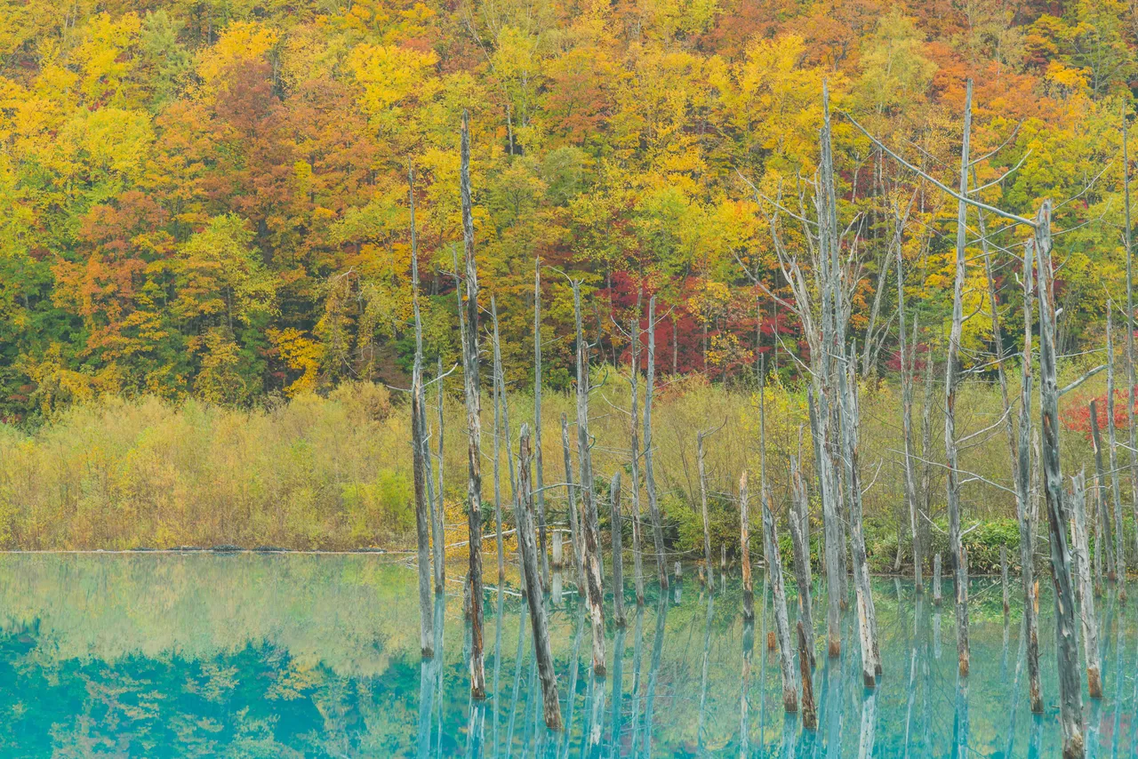 20171009_Hokkaido_973.jpg