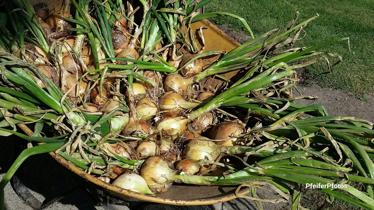 20191006 12.34.15.jpg