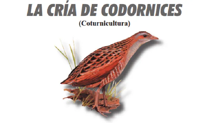 Librolacriadecodorniz.png