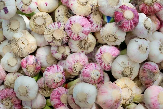 garlic1433528_640.jpg