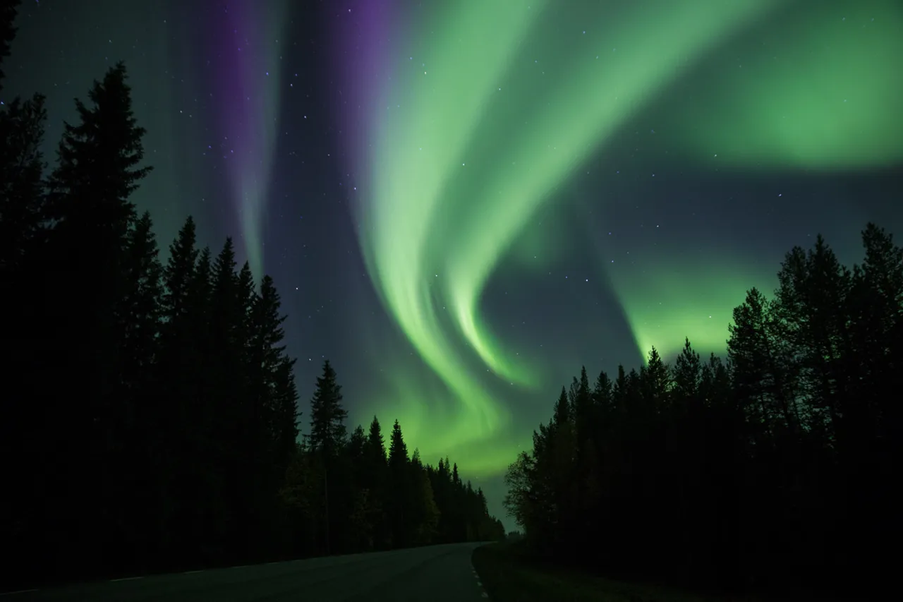 When the Aurora really kicks off, it is hard to contain your excitement!! Canon 24 mm | f/2.8 | 5 sec | ISO 1600