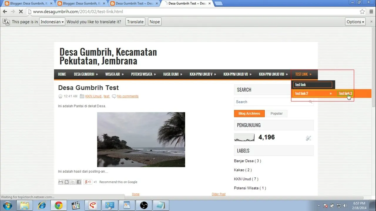 Test link 3 menu on website