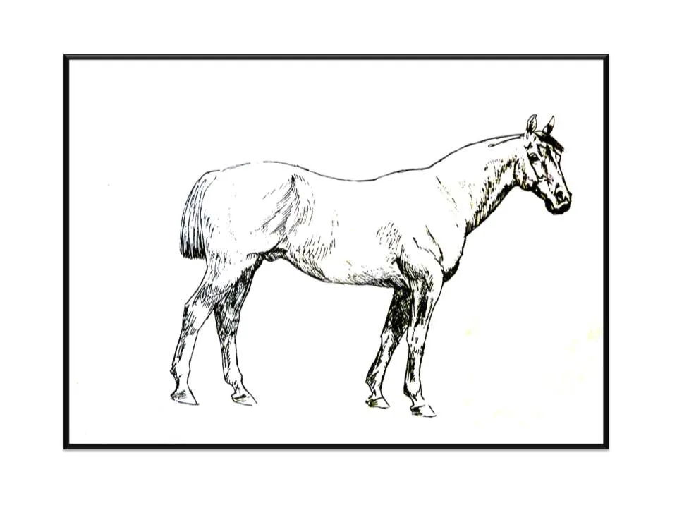 diapositiva1.jpg