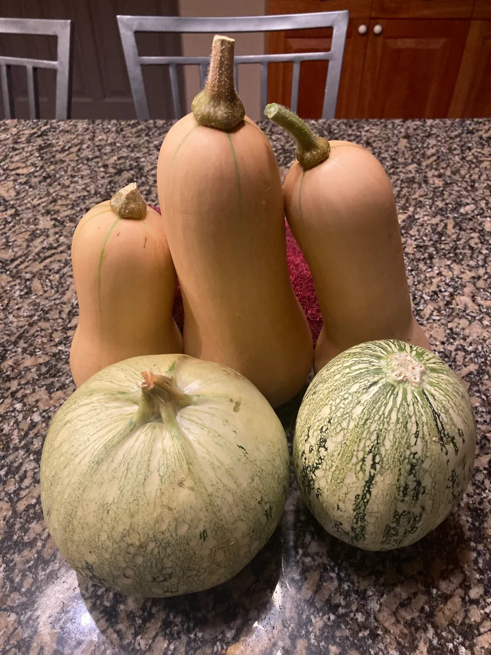 Gourd Family