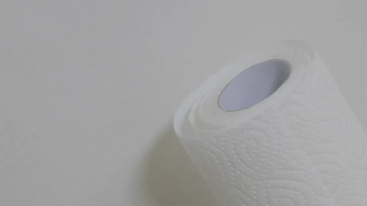 papertowel01.jpg