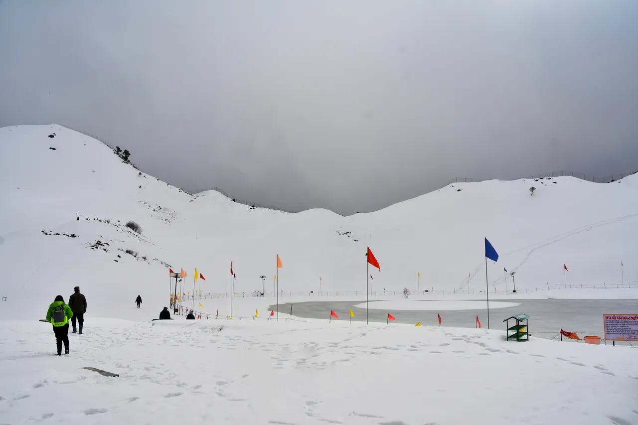 dsc_0314_01.jpeg
