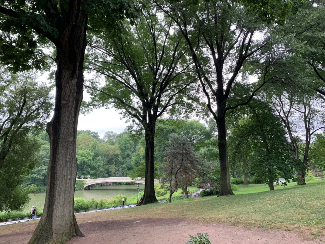 central_park.jpg