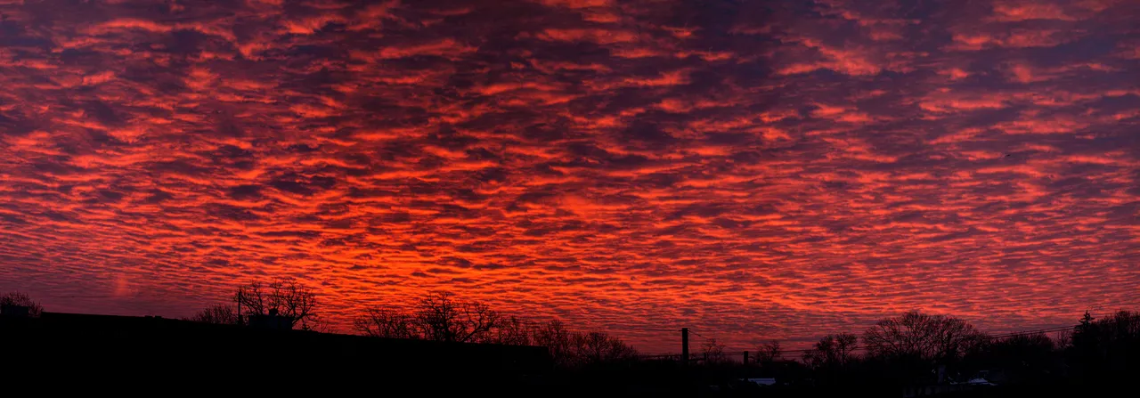 sunrise_copy.jpg