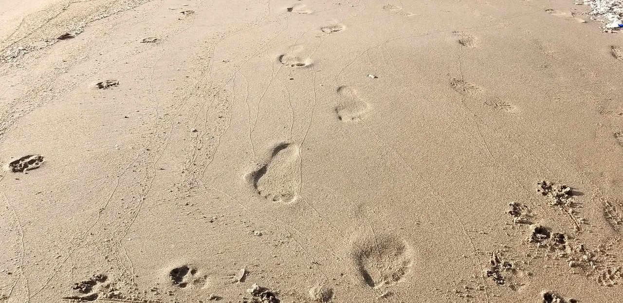 footprint_8u.jpg