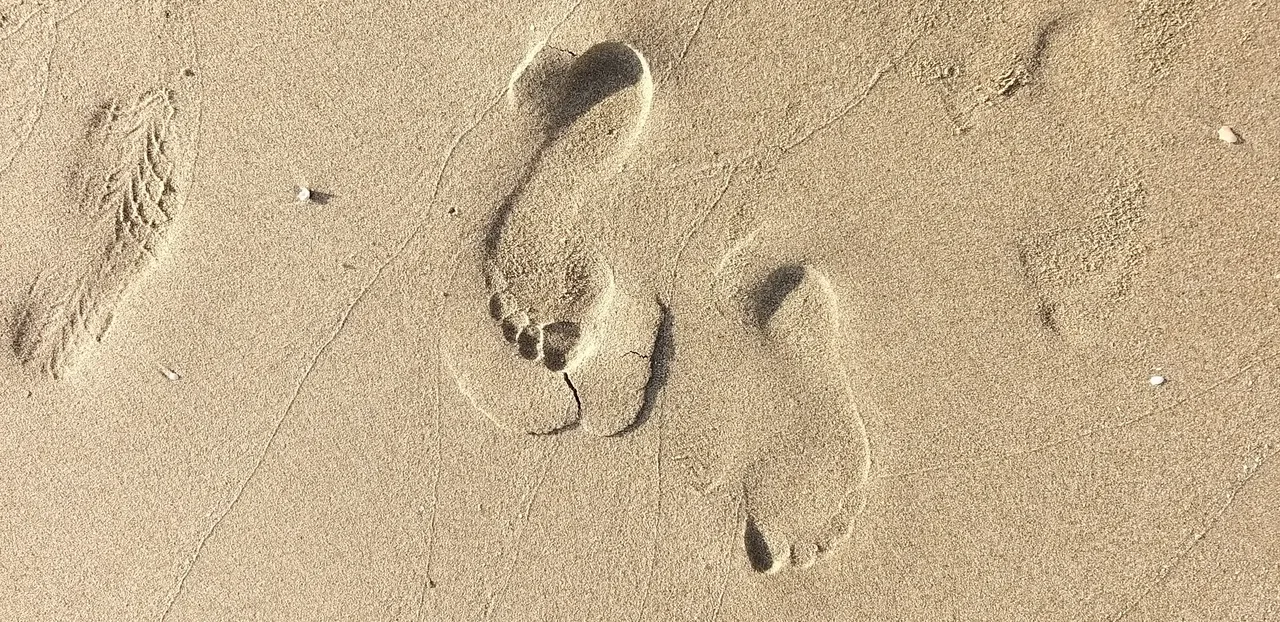 footprint_7u.jpg