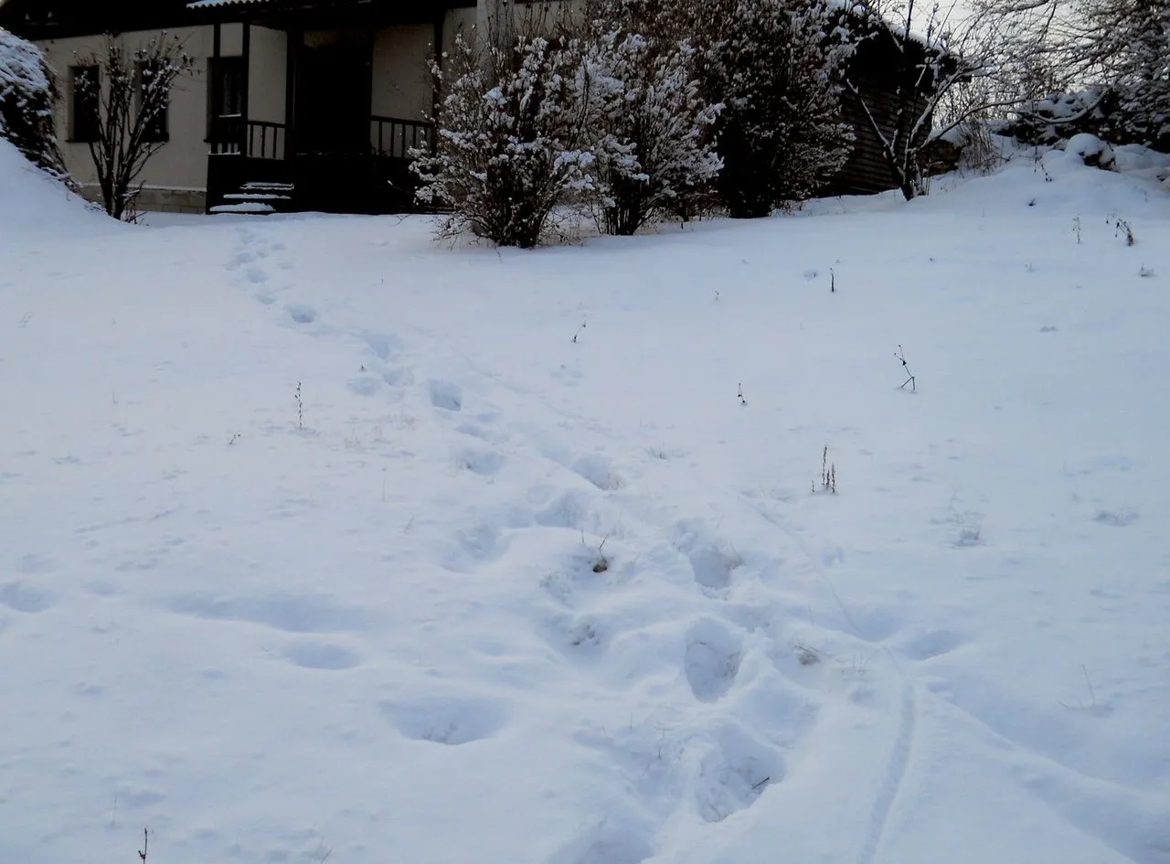 DSCN0338_cr.jpg