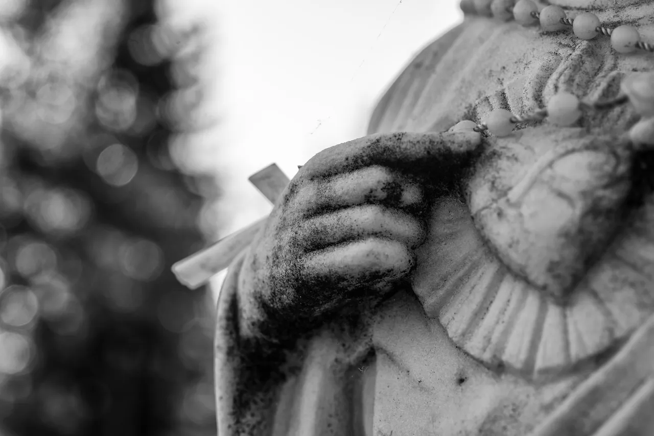 DSC_1483-Edit.JPG