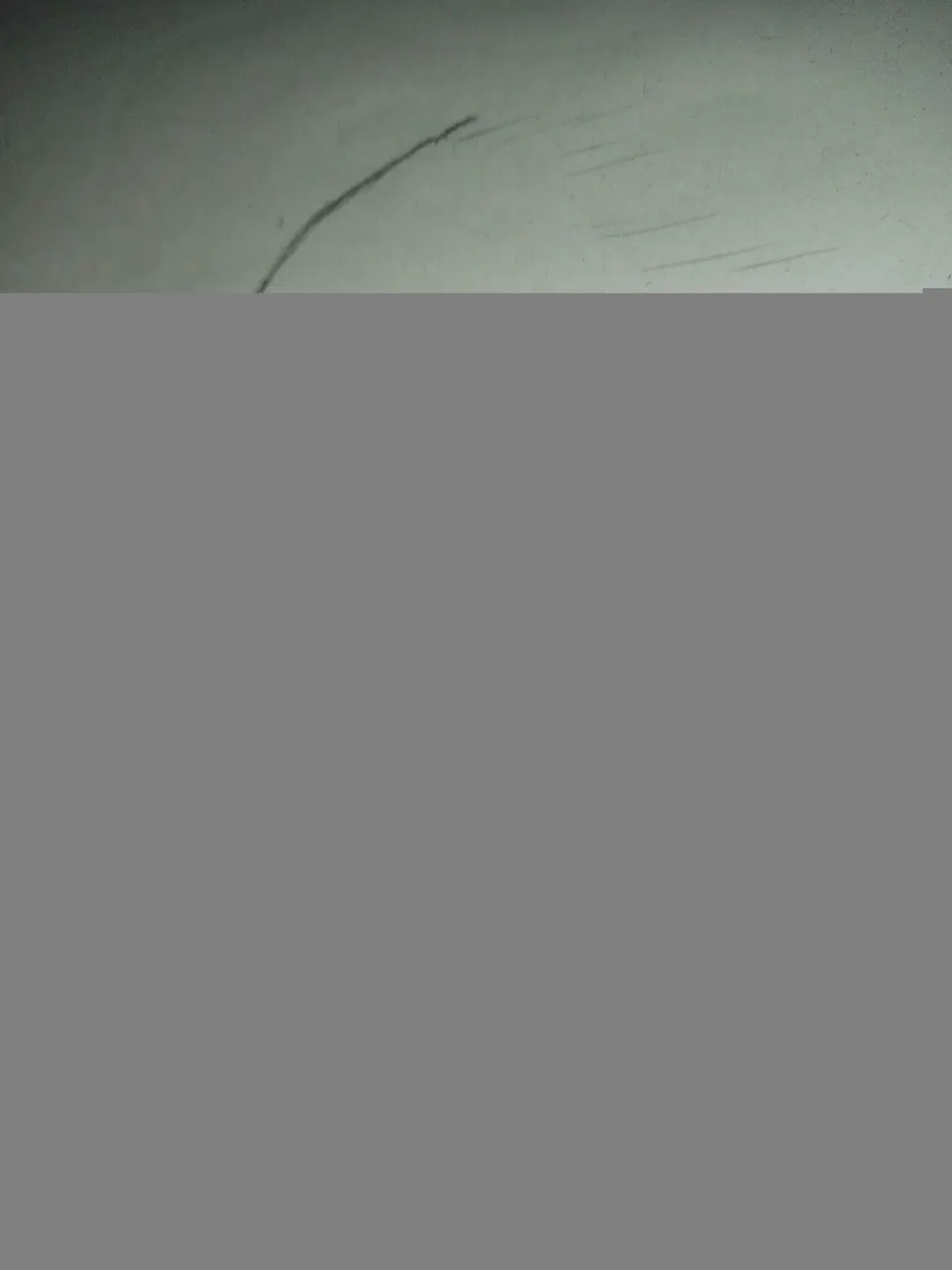 1634903973686.jpg