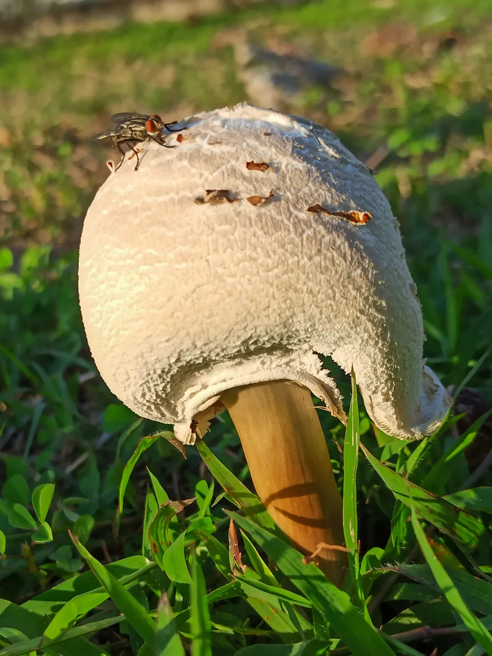 1640715614013.jpg