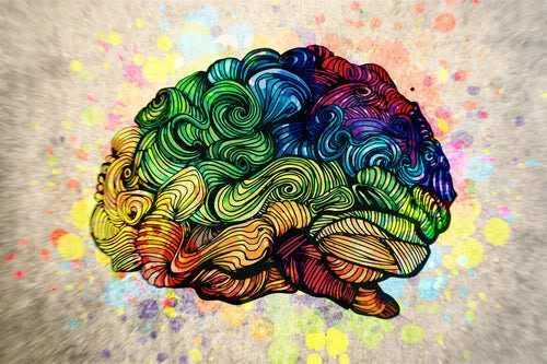1637945250581.jpg