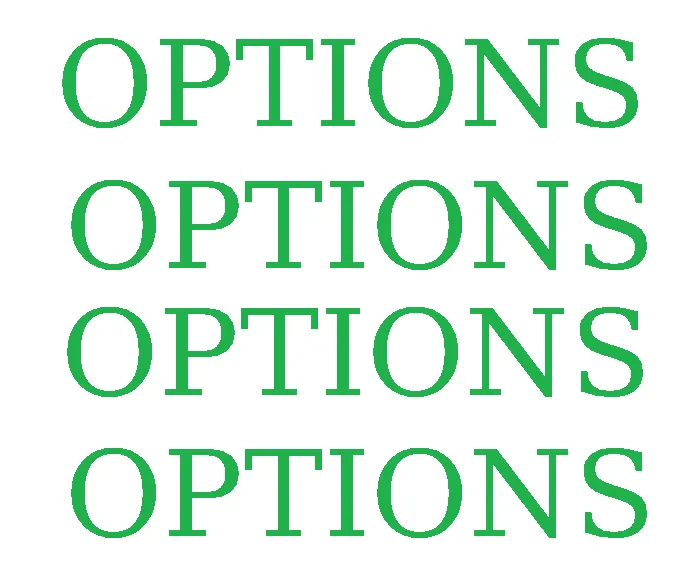 OPTIONS PIC.png