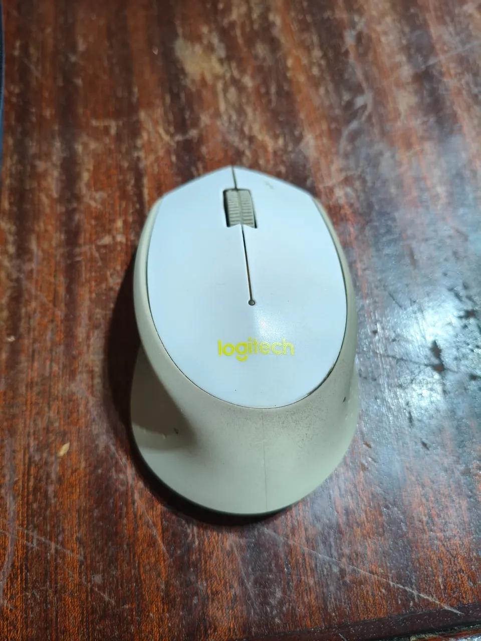 1742146554244.jpg