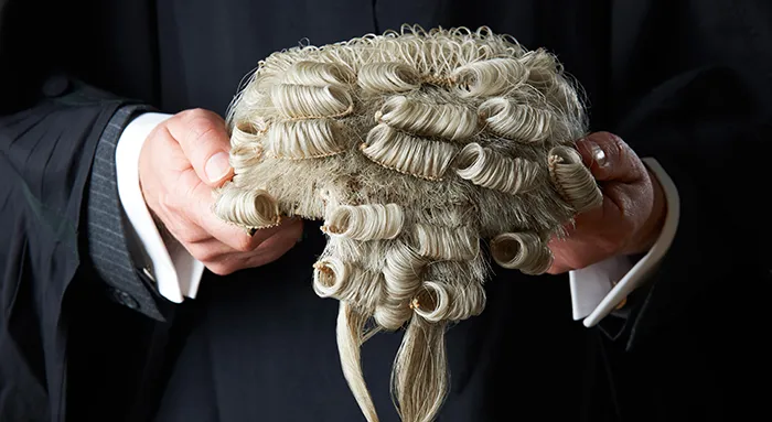 barrister_wig.jpg