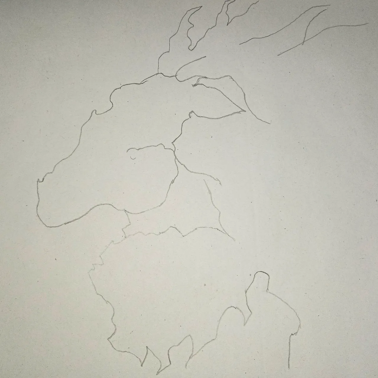 1641558339287.jpg
