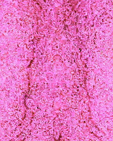 nft three hive tb.jpg