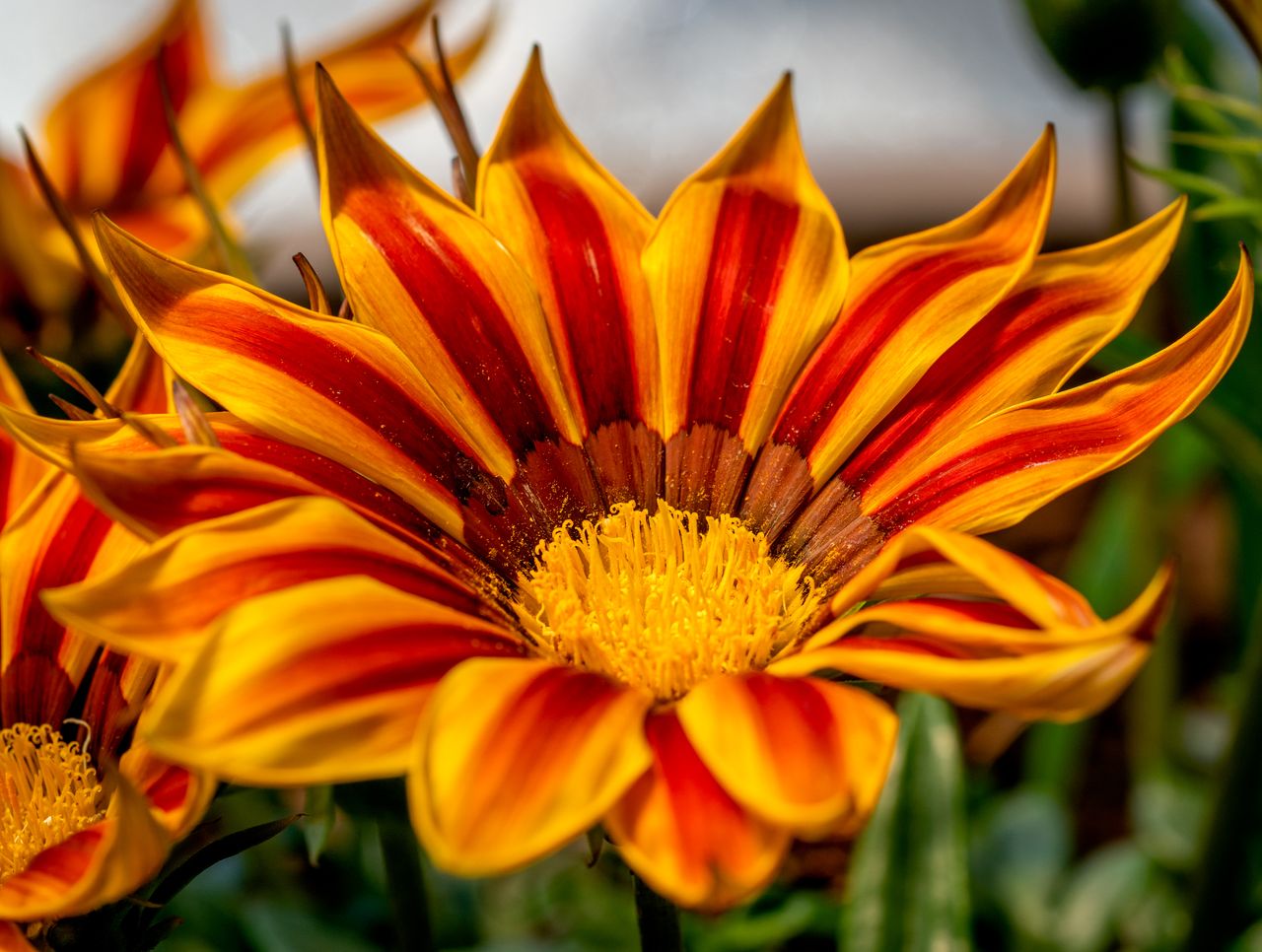 _DSC2679-Edit.jpg