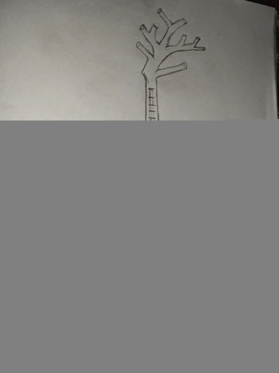 1635086408956.jpg